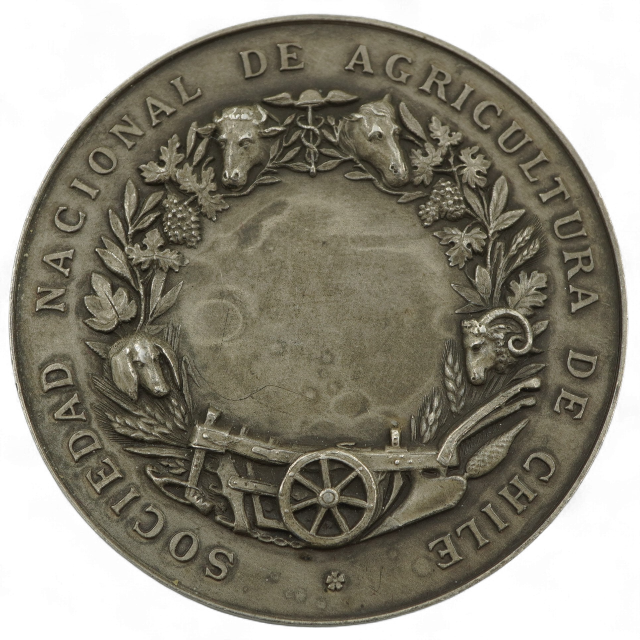 MEDALLA SOCIEDAD NACIONAL DE AGRICULTURA - Imagen 2