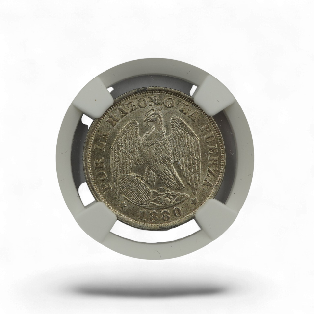 20 CENTAVOS 1880