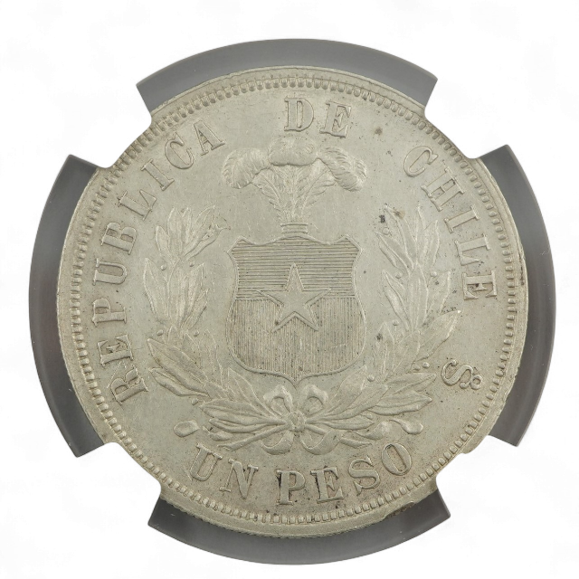 PESO AGUILA 1870 SOBRE 60 - Imagen 2