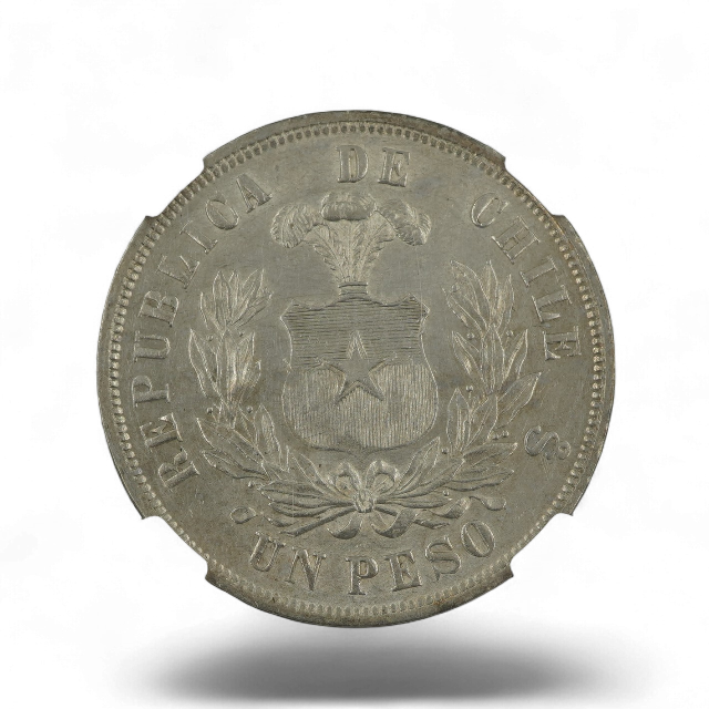 PESO AGUILA 1876 CHILE - Imagen 3