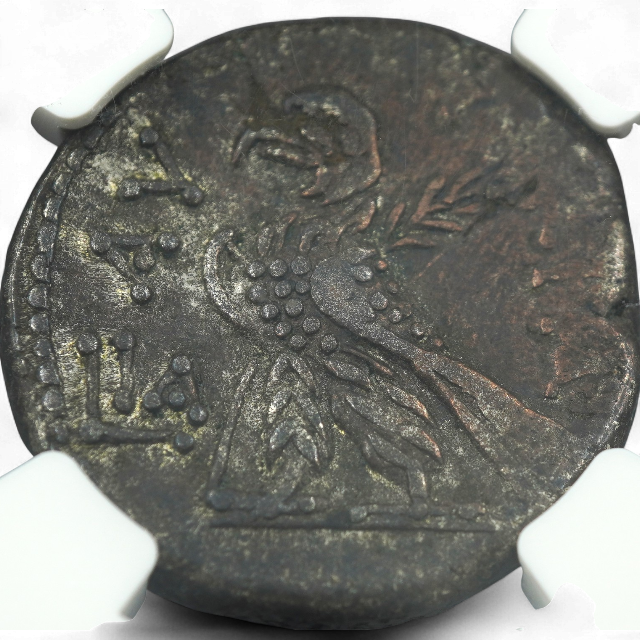 TETRADRACMA, NERON 54 -68 D.C - Imagen 3