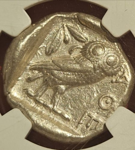 WhatsApp Image 2025-02-22 at 19.14.19