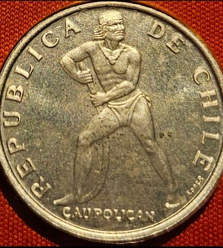 WhatsApp Image 2025-02-22 at 19.14.37